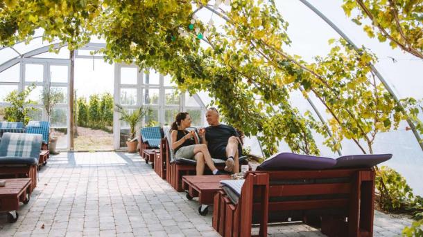 A couple enjoying a glass of wine in the orangerie at Årø Vinyard.