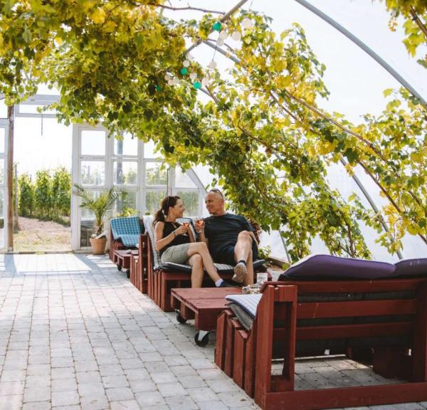 A couple enjoying a glass of wine in the orangerie at Årø Vinyard.