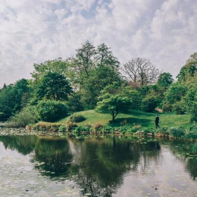 Botanical Garden Copenhagen