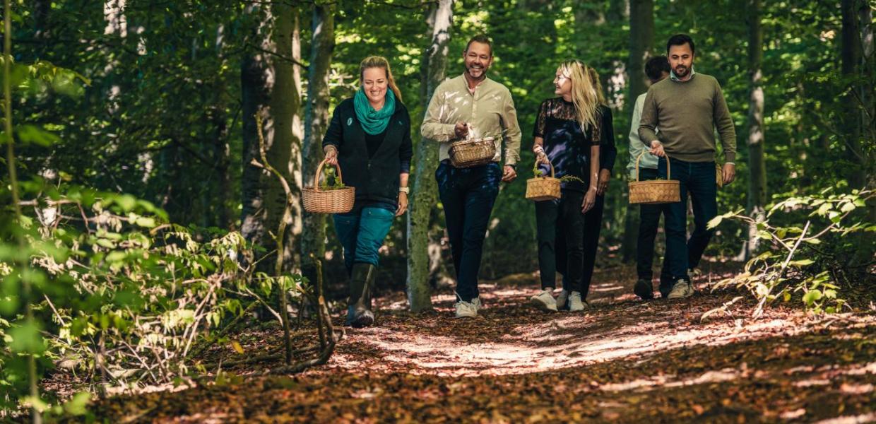 Group of people going foraging in Fyn