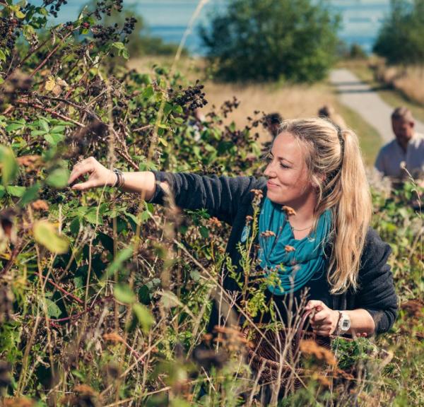 A team of people foraging in Fyn