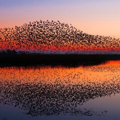 Black Sun at the Wadden Sea National Park