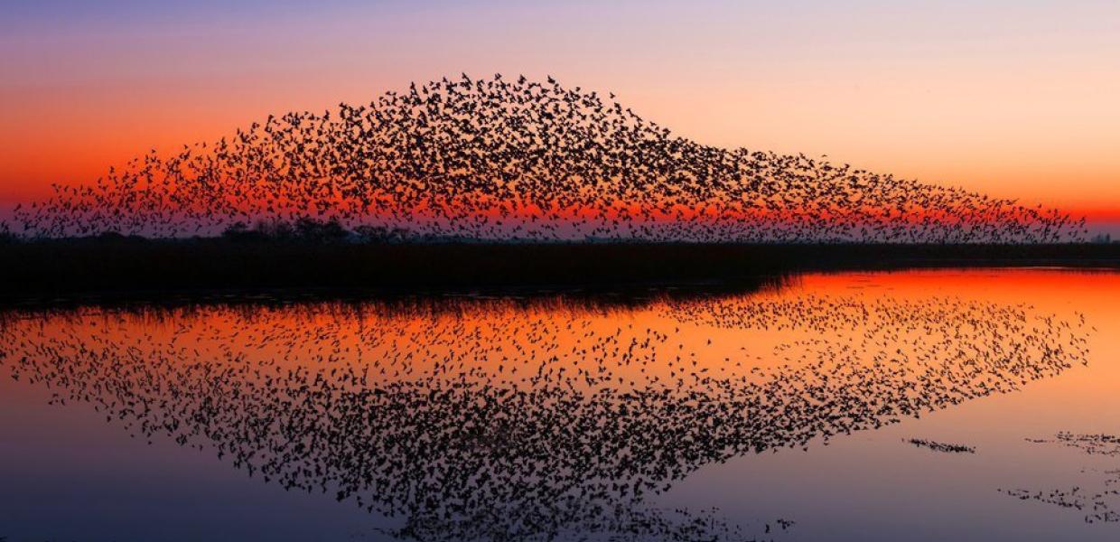 Black Sun at the Wadden Sea National Park