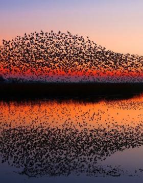 Black Sun at the Wadden Sea National Park