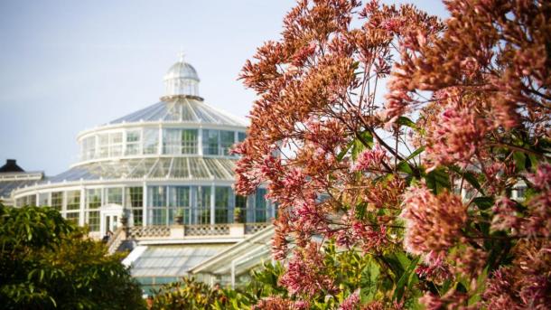 The Botanical Gardens in Copenhagen, Denmark