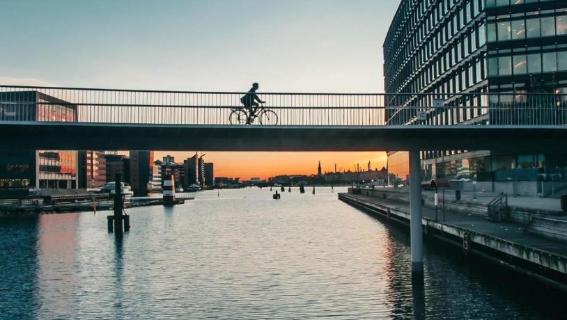 The Bicycle Snake in Copenhagen