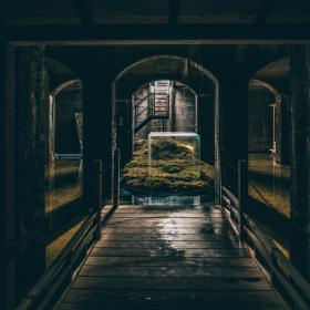 Go under ground at the cisterns in Copenhagen