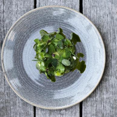 A plate of green food at Skodsborg Hotel, Copenhagen, Denmark