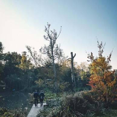 A couple walk in Munkemose Park, Odense, Denmark in autumn