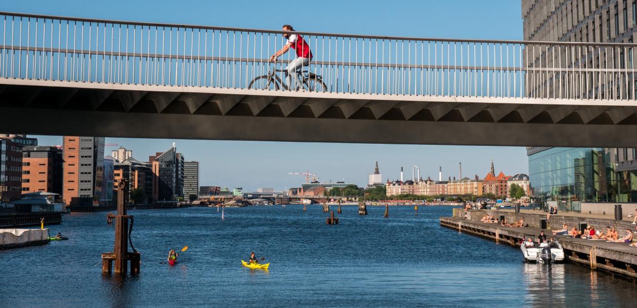 The Bicycle Snake in Copenhagen