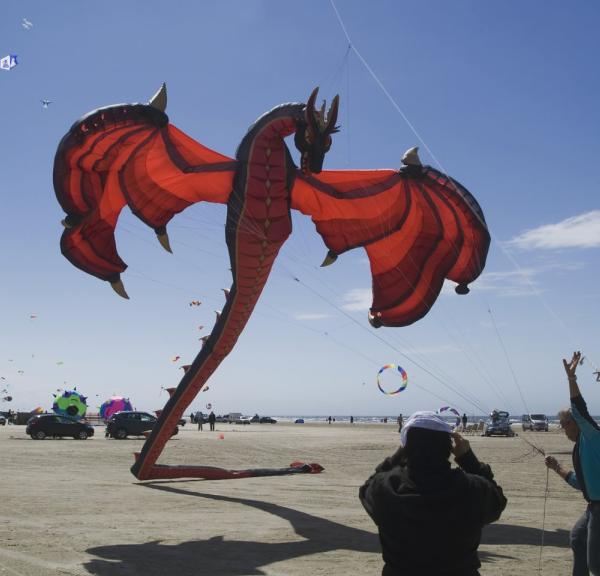 Drakfestival på Fanø, Sydjylland