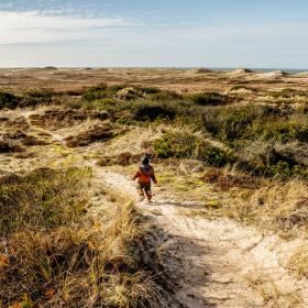 Child in the dunes at Klitmøller, North Jutland