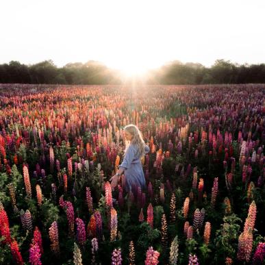 kvinne i blomstereng på nørre lyndelse, fyn