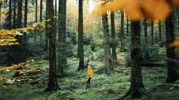 Woman in Rold Forest in autumn, Himmerland, North Jutland