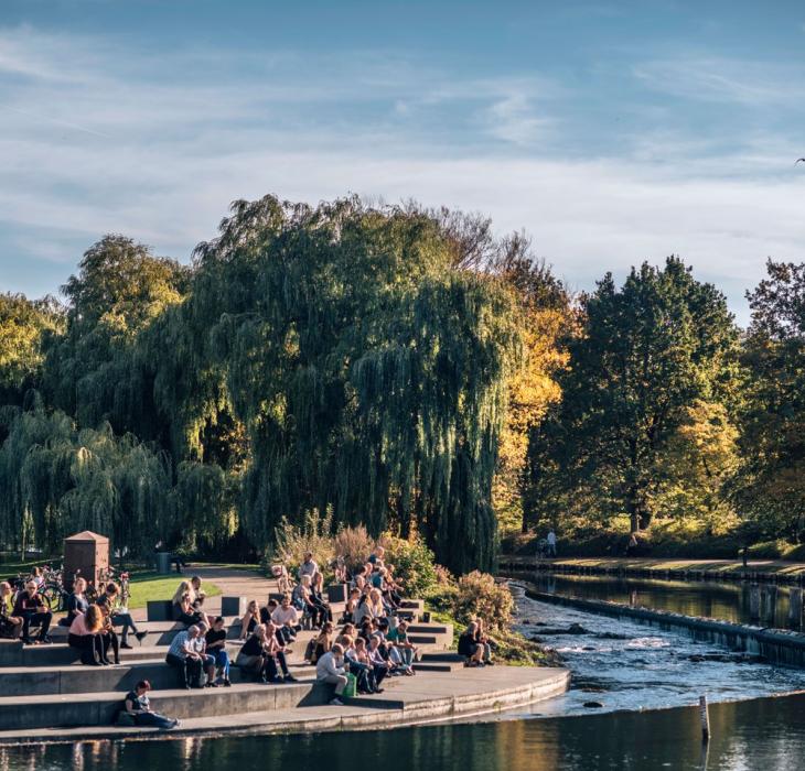 Odense Munke Swamp