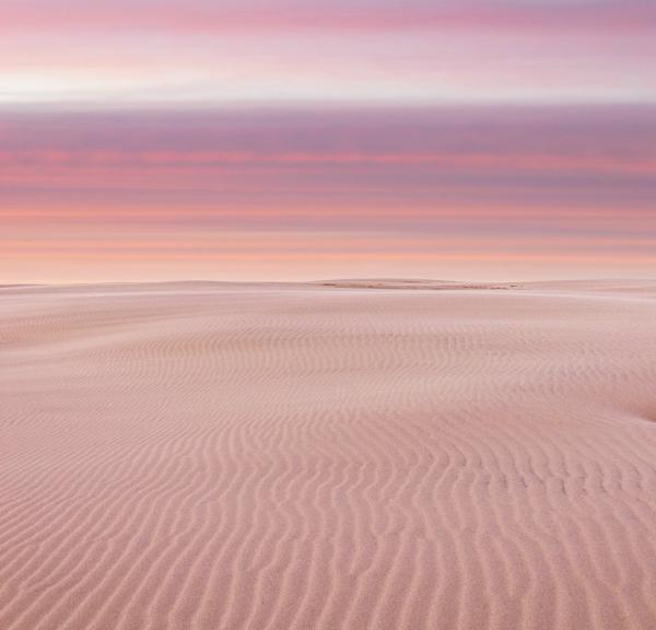 Råbjerg Mile, Denmark 