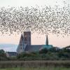 Ribe Cathedral