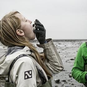 An girl eats a fresh oyster at the Wadden Sea National Park in Denmark