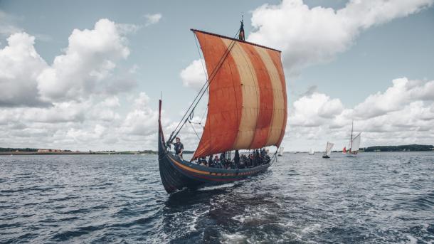 Find your inner Viking sailing a viking ship in Roskilde Fjord