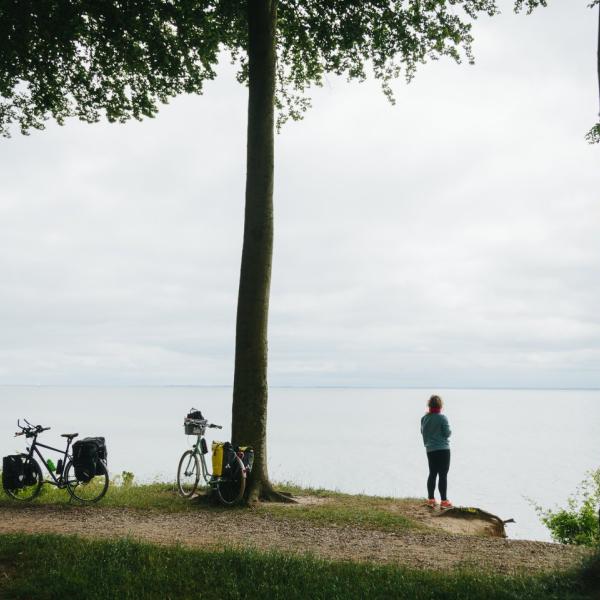 A woman enjoying the view in South Jutland during a pitstop along the N8 bike route