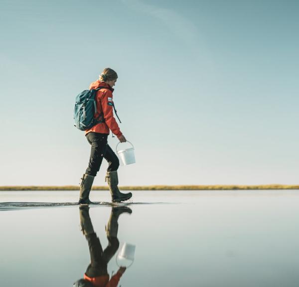 Hunting for oysters in the Wadden Sea National Park, Denmark