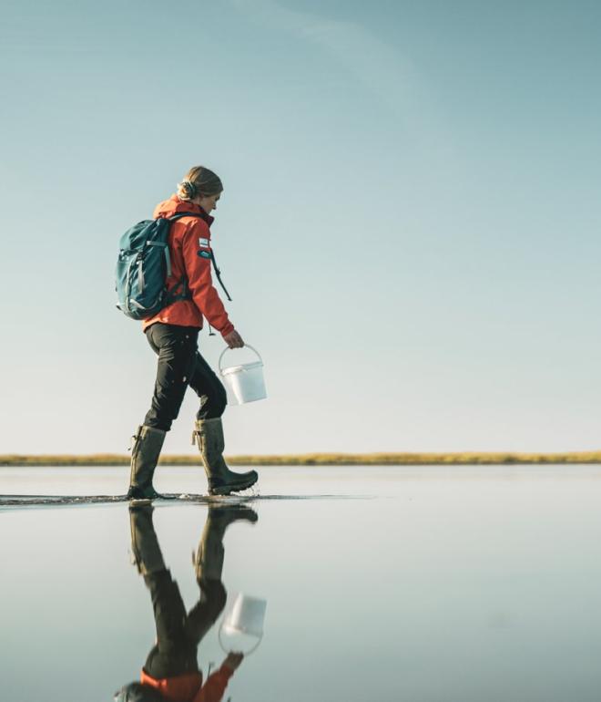 Hunting for oysters in the Wadden Sea National Park, Denmark