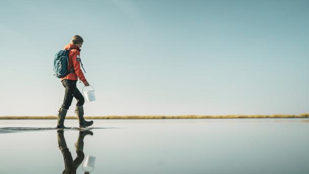 Hunting for oysters in the Wadden Sea National Park, Denmark