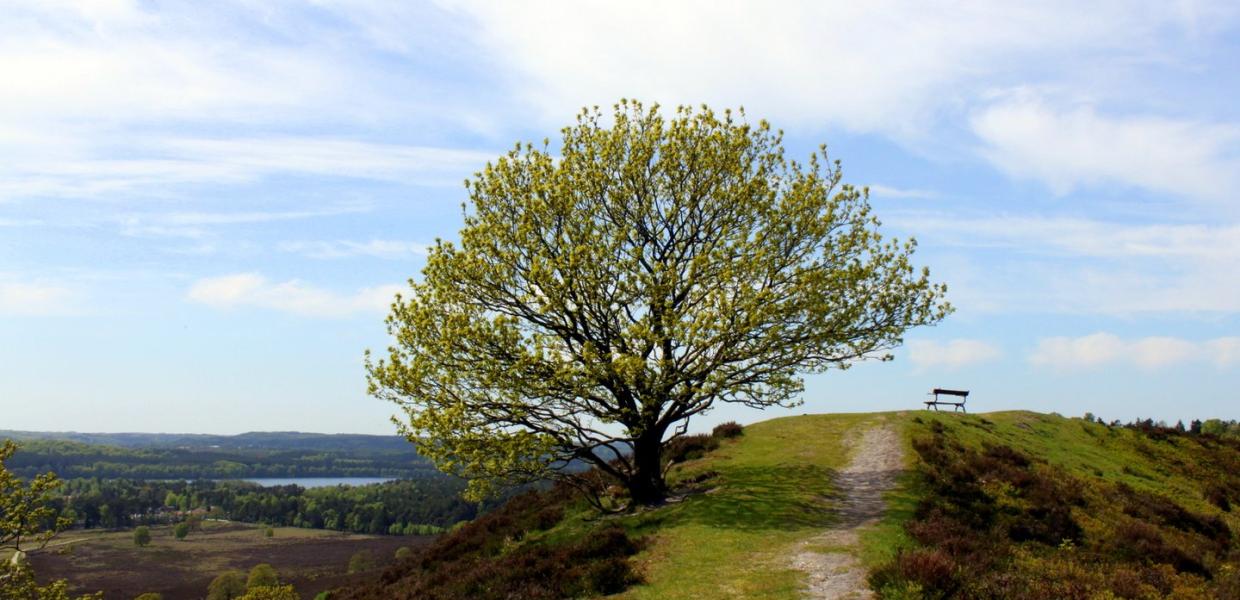 Silkeborg and the Danish Lake District