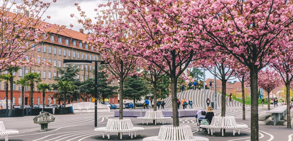 Superkilen Park Nørrebro Spring