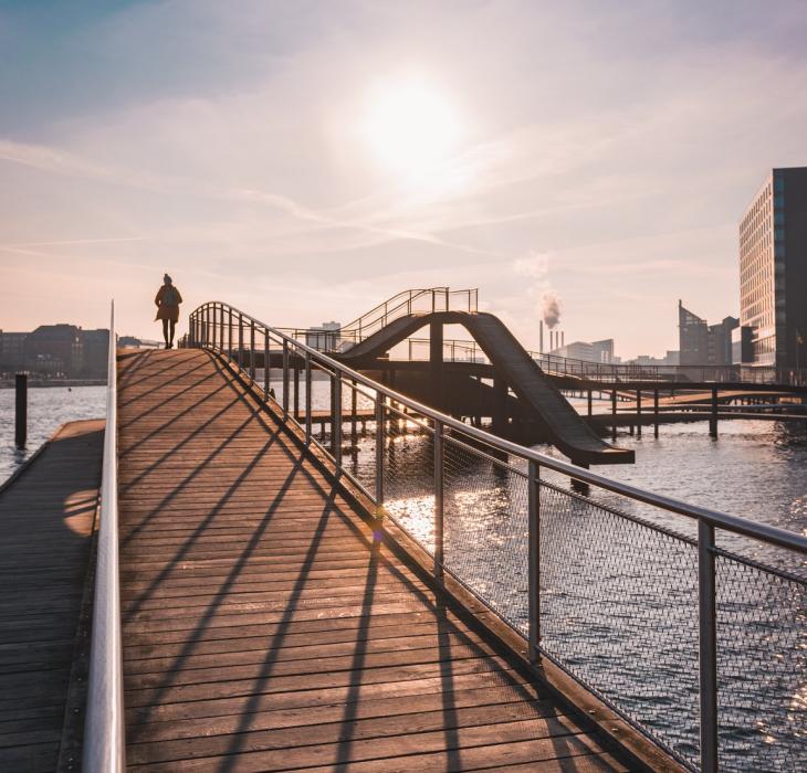 The Copenhagen harbour is clean enough to swim in