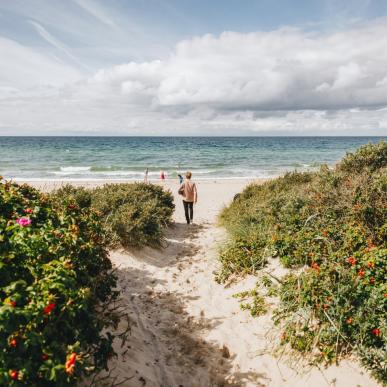 Going to the beach in Tisvilde