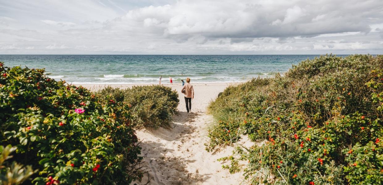 Going to the beach in Tisvilde