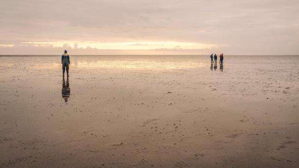 The Wadden Sea National Park, Denmark