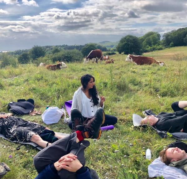 Camp Møns Klint Cow Yoga