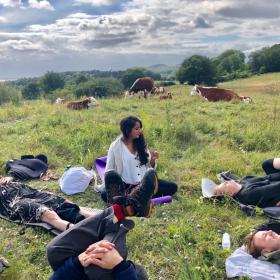 Camp Møns Klint Cow Yoga